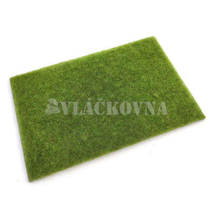 Mokřad střední